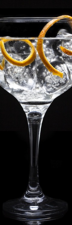 How to Make the Perfect Gin and Tonic